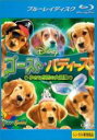 【バーゲンセール】【中古】Blu-ray▼ゴースト・バディーズ 小さな5匹の大冒険 ブルーレイディスク レンタル落ち