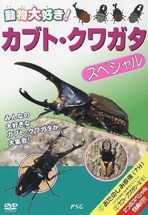 【中古】 動物大好き！カブトムシ・クワガタ スペシャル [レンタル落ち] [DVD]