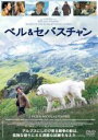 アメリカン・パイ in ハレンチ・マラソン大会[DVD] [廉価版] / 洋画