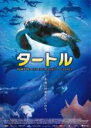【バーゲンセール】【中古】DVD▼タートル 永遠に回遊する、いのち。 レンタル落ち