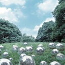 【中古】CD▼カルマ 通常盤 レンタル落ち