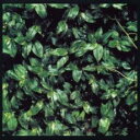 【中古】CD▼ココロに花を レンタル落ち