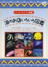 【中古】DVD▼シリーズ・ヴィジアル図鑑 1 海のお魚いろいろ図鑑 レンタル落ち