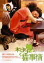 【バーゲンセール】【中古】DVD▼本日の猫事情 レンタル落ち