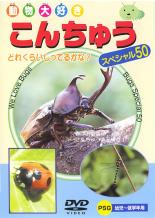 &nbsp;JAN&nbsp;4937629016364&nbsp;品　番&nbsp;PZD102&nbsp;制作年、時間&nbsp;2004年&nbsp;30分&nbsp;製作国&nbsp;日本&nbsp;メーカー等&nbsp;PSG&nbsp;ジャンル&nbsp;趣味、実用／カルチャー／子供向け、教育&nbsp;カテゴリー&nbsp;DVD&nbsp;入荷日&nbsp;【2023-11-07】【あらすじ】カブトムシやヒグラシなど林に集まる昆虫やゲンジボタルなど水辺に集まる昆虫、畑や野原に集まる昆虫などたくさん登場するよ！