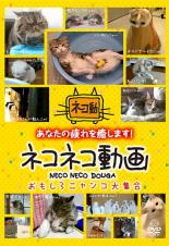 【バーゲンセール】【中古】DVD▼ネコネコ動画 おもしろニャンコ大集合 レンタル落ち