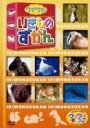 【バーゲンセール】【中古】DVD▼ワイワイ♪ いきものずかん