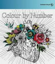【処分特価・未検品・未清掃】【中古】CD▼Colour by Number レンタル落ち