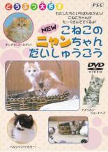 【バーゲンセール】【中古】DVD▼NEW こねこのニャンちゃん大集合