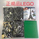 正規品 LEGO レゴ ICONS 10181 The Eiffel Tower 1:300 エッフェル塔 HD-404-A3 371