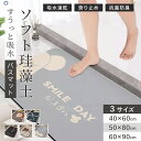★期間限定タイムセール★ 珪藻土バスマット 珪藻土マット 珪藻土 プレゼント ギフト バスマット 足拭きマット キッチンマット カーペット 屋内 台所 脱衣所 ...