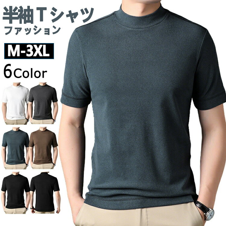 モックネックゴルフ半袖メンズハイネ...