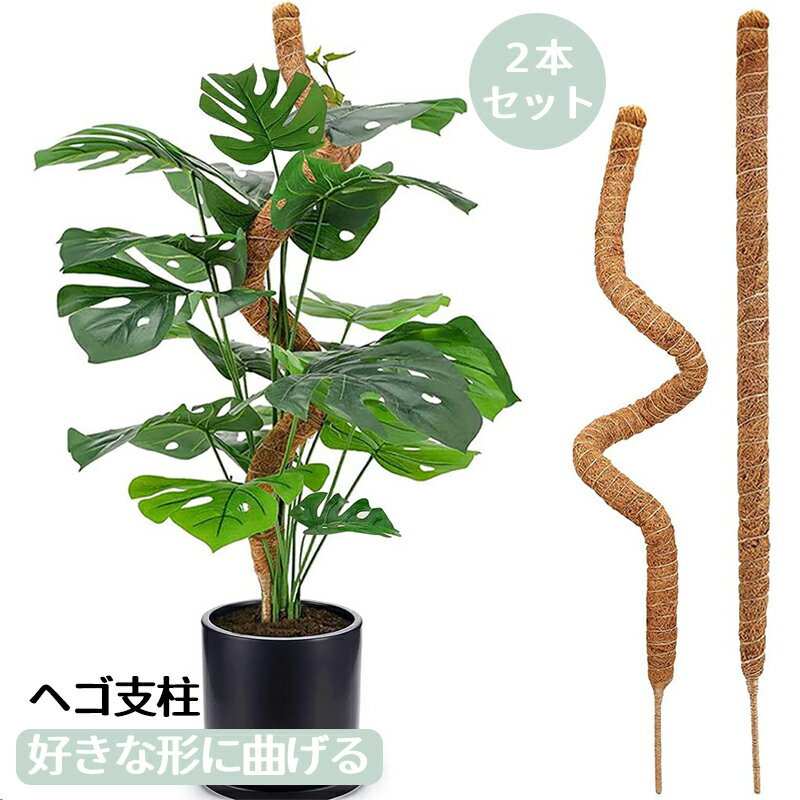 ヘゴ支柱 2本セット 園芸支柱 好きな形に曲げる 誘引 支柱 フラワースタンド 花支え 観葉植物モンステ..