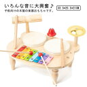 楽器 おもちゃ 玩具 赤ちゃん 幼児 子ども 知育玩具 木製 木のおもちゃ 太鼓 男の子 女の子 鉄琴 音楽 プレゼント 出産祝い 誕生日 組み立て簡単 音が出...
