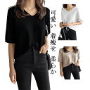 Tシャツ レディース 半袖 サマーニット 秋冬夏 薄手 Vネック 五分袖 セーター ニット トップス おおきいサイズ 半袖tシャツ ゆったり 無地 カットソー ...