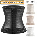 【期間限定10倍ポイントあり】コルセット ウエストニッパー コルセット ダイエット レディース【お腹引き締め?補正下着?骨盤補正?姿勢改善】産後 腰サポート く...