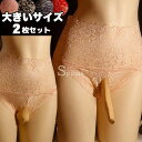 2枚組 大きいサイズ お腹すっぽり総レース クロスジェンダー 女装用 ショーツ パンティ レースショーツ 下着 フラット インナー コスプレ セクシー パンツ ランジェリー ジェンダーレス トランスジェンダー(4)