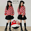 韓国子供服 冬服 セットアップ 女の子 スカートセット 子供服 新年 クリスマス プレゼント キッズ 裏起毛 トップス カワイイ スウィート 上下セット 長袖 スウェット スカート おしゃれ イベント 誕生日 結婚式 防寒抜群 裏起毛仕様 冬物