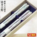 【ギフト 箸 名入れ 送料無料】 染井吉野夫婦 桐箱入り 夫婦箸 二膳セット パール 桜 花柄 パステル 伝統柄/箸/名入れ/名前入り/出産祝い/結婚祝い/結婚...