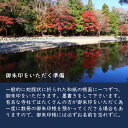 名入れ 檜の御朱印帳 伊勢・出雲・伏見/国産 檜 ご朱印帳/ひのき 桧/木製 木/御朱印帳/神社仏閣巡り/神社/寺/旅行/観光/御朱印巡り/参拝/霊場巡り/伊勢神宮 神紋 花菱/記念品/ギフト/プレゼント/贈り物/ご朱印/ご朱印帳/朱印集め/令和/女子旅/朱印ガール 3