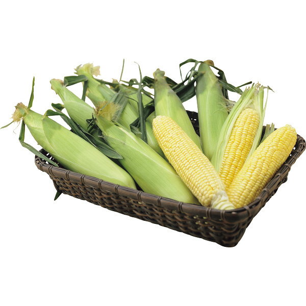 【送料無料】【値引】【御中元】【北海道産　イエローコーン（10本）】【ご注文は7月31日迄(出荷開始：7月27日頃～8月9日頃)御中元 中元 ギフト 送料無料 コーヒー 早割 ジュース スイーツ 素麵 そうめん ハム 洗剤 産直