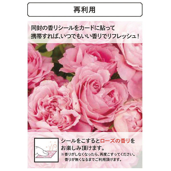 【20倍ポイント贈呈！】【送料無料・宅配便】「カードタイプ」【アズユーライクAYL...