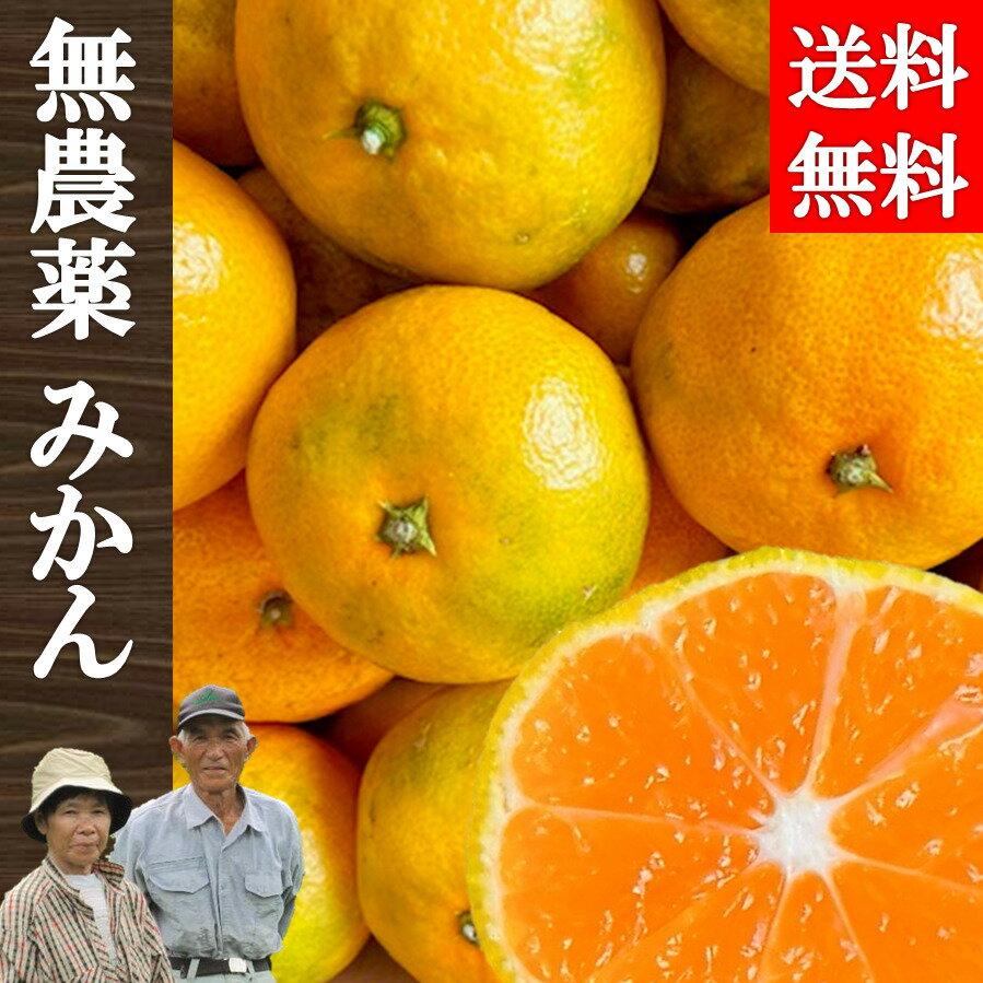 【予約受付中 2023年11月中旬から出荷】 みかん 4kg 無農薬 訳あり 有機肥料 送料無料 温州みかん ノーワックス オレンジ 家庭用 果物