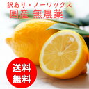 レモン 無農薬レモン 2kg 国産レモン 有機肥料 農薬不使用 化学肥料不使用 送料無料 ノーワックスレモン 愛媛レモン 奈良レモン 長崎レモン 無農薬 国産 果物 フルーツ 訳あり 贈り物