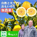 ボワロン 冷凍ホール カシス 1kg【F】
