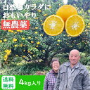 甘夏 無農薬 有機 4kg 訳アリ 甘夏みかん 国産 フルーツ 果物 旬の果物 家庭用 不揃い あまなつ 柑橘 熊本 和歌山 長崎 みかん ノーワックス くだも...
