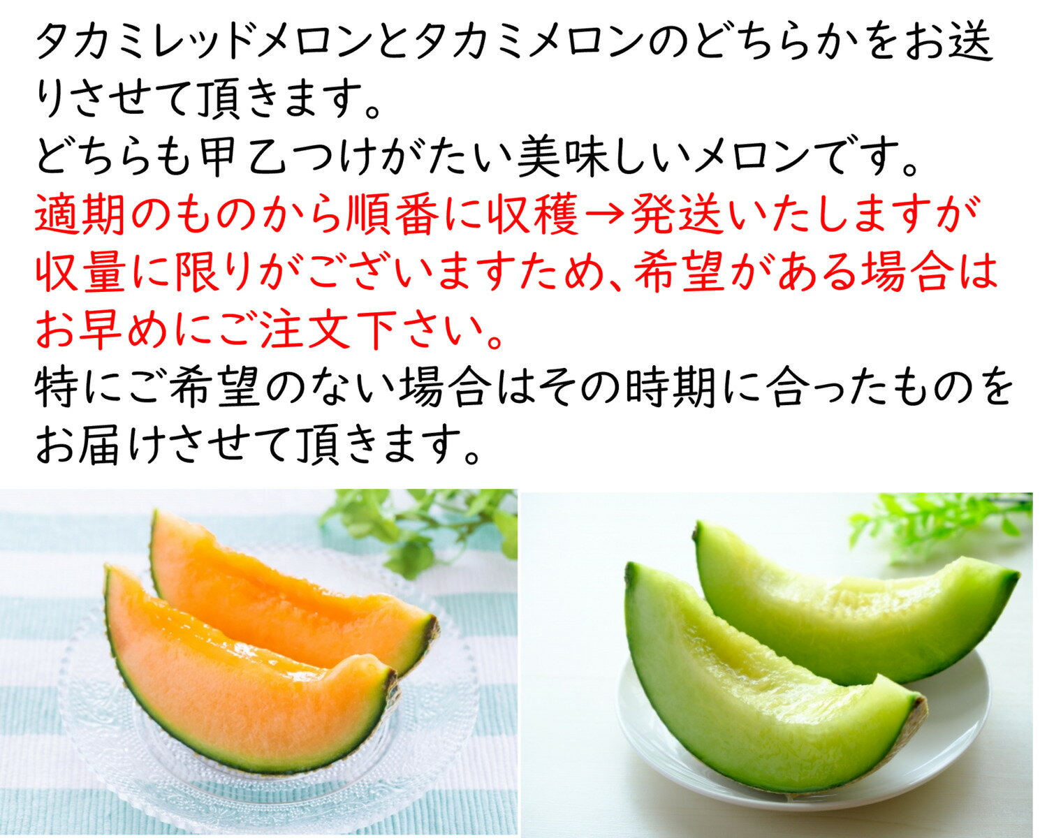 【予約商品】 メロン 赤肉 青肉 送料無料（北海道・沖縄除く） 約2kg 減農薬 有機肥料 タカミメロン タカミレッドメロン めろん フルーツ 果物 ギフト 父の日 贈り物 お土産 3