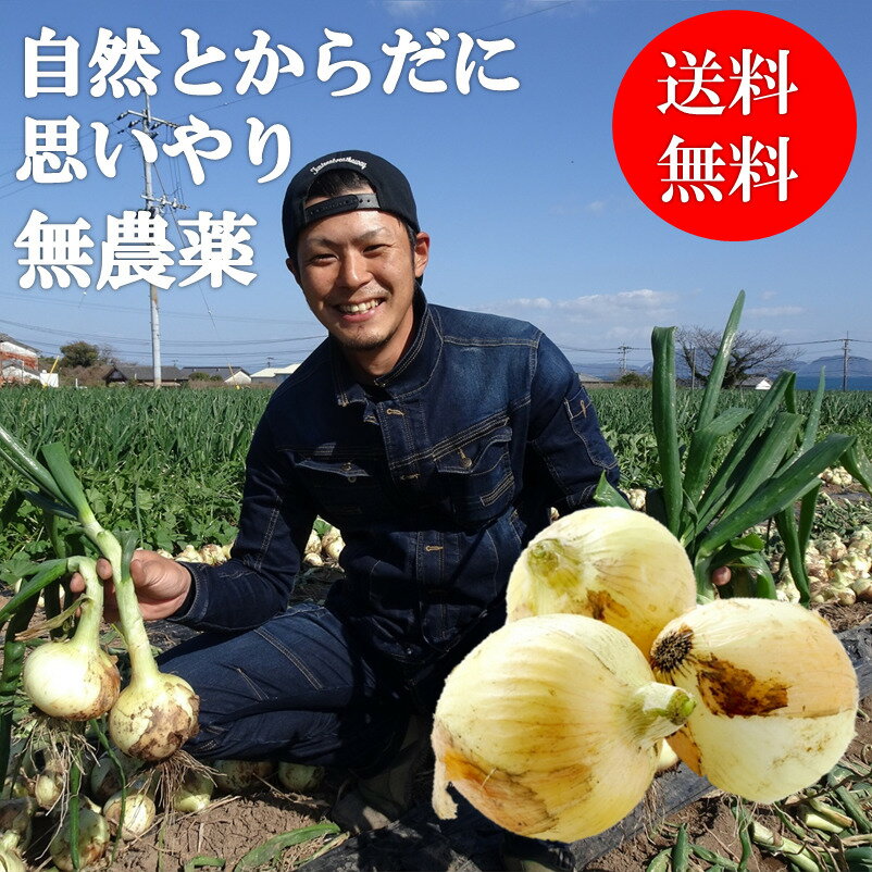 玉ねぎ 新玉ねぎ 長崎県 北海道 愛知県 京都 奈良 訳あり 2kg 送料無料 北海道・沖縄は除く 無農薬 有機栽培 たまねぎ タマネギ オーガニック 野菜 ギフト 新たまねぎ