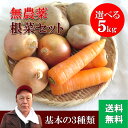 根菜詰合せ 5kg 無農薬 玉ねぎ ジャガイモ にんじん 土付き野菜 長崎 鹿児島 京都 奈良 愛知 千葉 北海道 無農薬 有機栽培 オーガニッ..