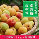 【冷凍梅】 南高梅 白加賀 無農薬 1kg 化学合成農薬無使用 訳あり 大小混合 黄熟 有機肥料 奈良県 生梅 冷凍梅 梅酒 梅干 梅シロップ 梅酢 梅ドリンク 梅ジュース 手作り 梅 産地直送 国産 シロップ ジャム 安心 安全 美容 健康 数量限定 送料無料(北海道・沖縄除く)