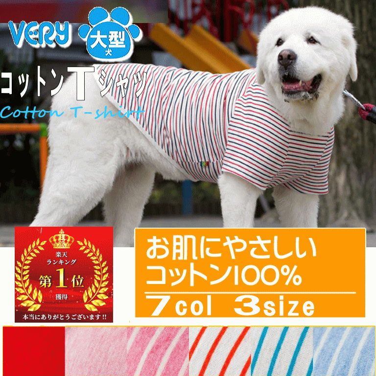 春夏｜デザインがかっこいい！安くておしゃれな大型犬用の犬服の