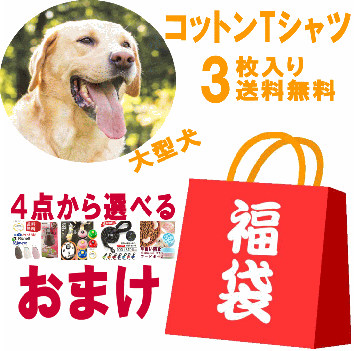 ＼お買い物マラソン！クーポン／福袋 綿100％Tシャツ 3枚セット 犬服 大型犬 ポッキリ送料無料 おしゃれ 対応 ランキング1位 VERY ドッグウェア ブランドかわいい 着せやすい 犬の服 動きやすい 2024 ％OFF 男の子 女の子 かわいい おしゃれ shopのサムネイル