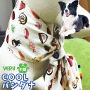 【50%OFFクーポン】犬 夏 クールバンダナ 送料無料 犬 服 保冷剤付 中型犬 大型犬 犬用猫用 対策 首 ひんやり 冷却 クール COOL つめたい 散歩...