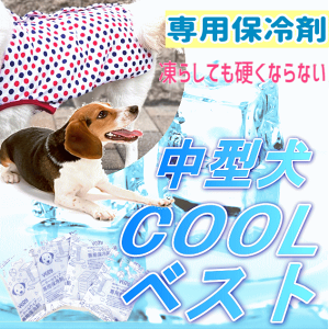 夏用で涼しい ひんやりクールでおしゃれな中型犬用ドッグウェアのおすすめランキング わたしと 暮らし 夏用で涼しい ひんやりクールでおしゃれな中型犬用ドッグウェアのおすすめランキング わたしと 暮らし