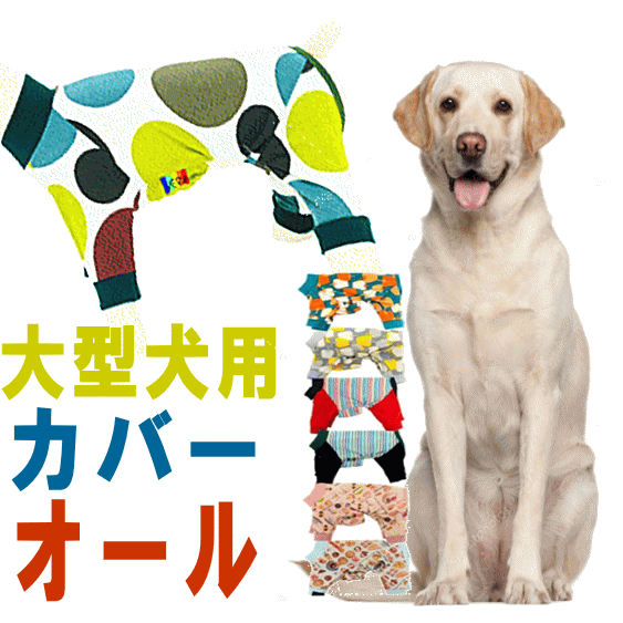 クーポン有　カバーオール　大型犬　犬　服　皮膚病　抜け毛対策　ドッグウェアvery　ベリー　着せやすい　長袖【あす楽対応】　ロンパース　ぽっきり送料無料 術後服