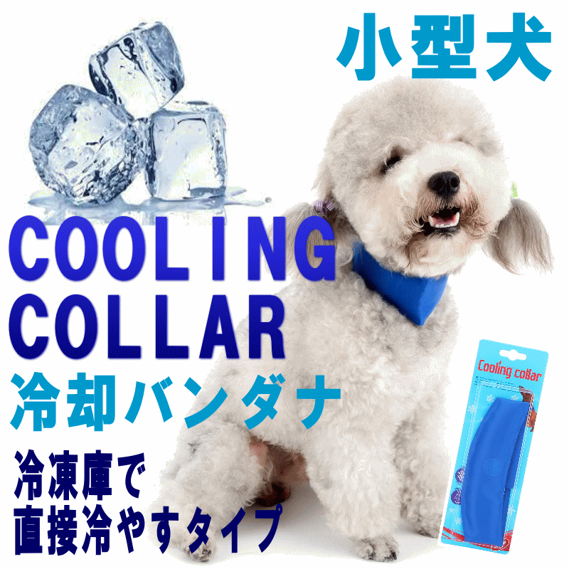 クーポン有　犬　夏　ペット用品　クールバンダナ　ネッククーラー　Sサイズ　Mサイズ　ひんやり　首輪　冷感　熱中症対策　散歩　COOL　ぽっきり【メール便対応】