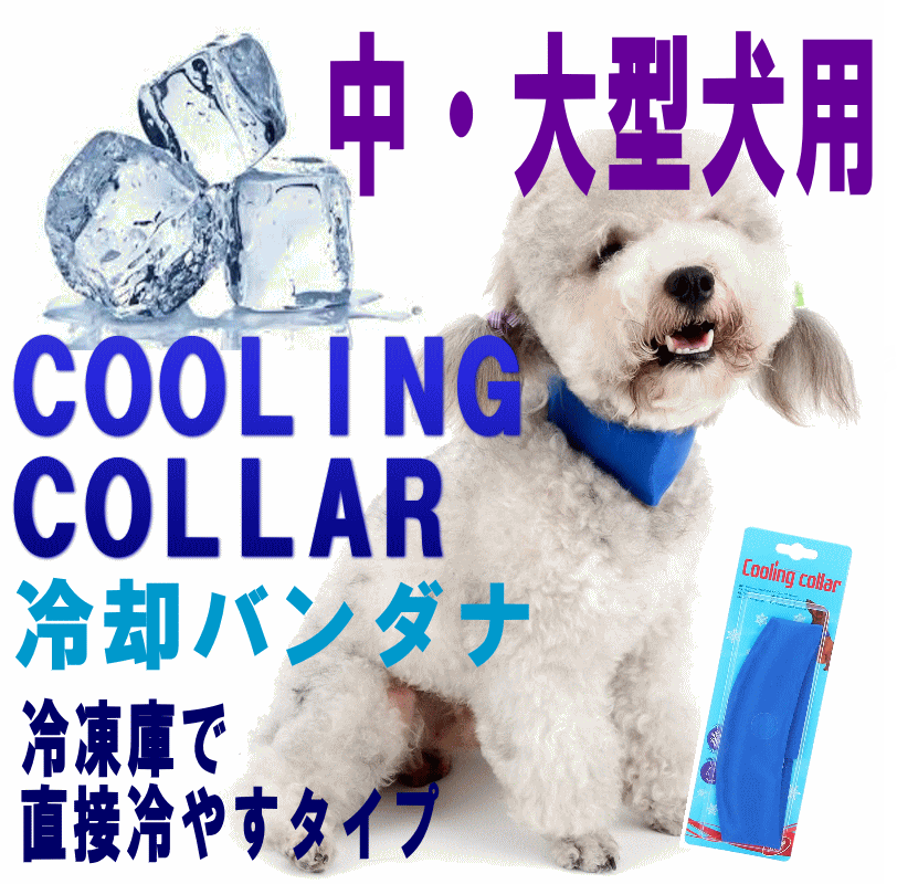 クーポン有　犬　夏　ペット用品　クールバンダナ　ネッククーラー　中大型犬用　Lサイズ　XLサイズ　ひんやり　首輪　冷感　熱中症対策　COOL　ぽっきり　散歩【メール便対応】