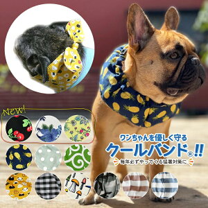 クールバンド 保冷剤5個 犬服 COOL クールバンダナ クールネック ネッククーラー 犬用 猫用 熱中症対策 首 ひんやり 冷却 COOL 首冷やす つめたい スヌード スカーフ 小型犬 中型犬 大型犬 かわいい 散歩 唐草 男の子 女の子