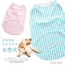 犬服 FULL COOL ストライプ　大型犬 タンクトップ メッシュ 犬 服 犬の服　春夏　夏物　ひんやり 冷却 クール 気化熱 冷却 フルクールひんやりグッズ 男の子 女の子 かわいい おしゃれ 暑さ対策 shop 部屋着 夏の散歩に必須アイテム！！ ・濡れた状態で振れば、何度でも冷たくなります。・効果的に気化熱を発生させ冷却効果が得られます。・冷たい水が無くても、常温水やぬるま湯でもOK。・UVカット率98％で紫外線から被毛を守ります。・洗濯機で丸洗いでも冷却効果が持続。※気化熱のメカニズムとは・・・3種類の糸の特殊構造により吸水・保水・蒸発を繰り返します。水分を含んだ生地は、被毛との摩擦や外気に触れることで水分が浸透し効果的に気化熱を発生させひんやり冷感が得られます。適応犬種：ラブラドールレトリバー ゴールデンレトリバー バーニーズマウンテンドッグ シベリアンハスキー ドーベルマン ダルメシアン フラットコーテッドレトリーバー ボルゾイ ロットワイラー ジャーマンシェパードドッグ等 5