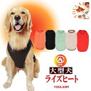大型犬 服 冬 ライズヒート 送料無料 発熱素材ドッグウェア 秋冬服 あったか グッズ 犬 服 8号〜10号 男の子 女の子 かわいい おしゃれ 犬の服 あった...