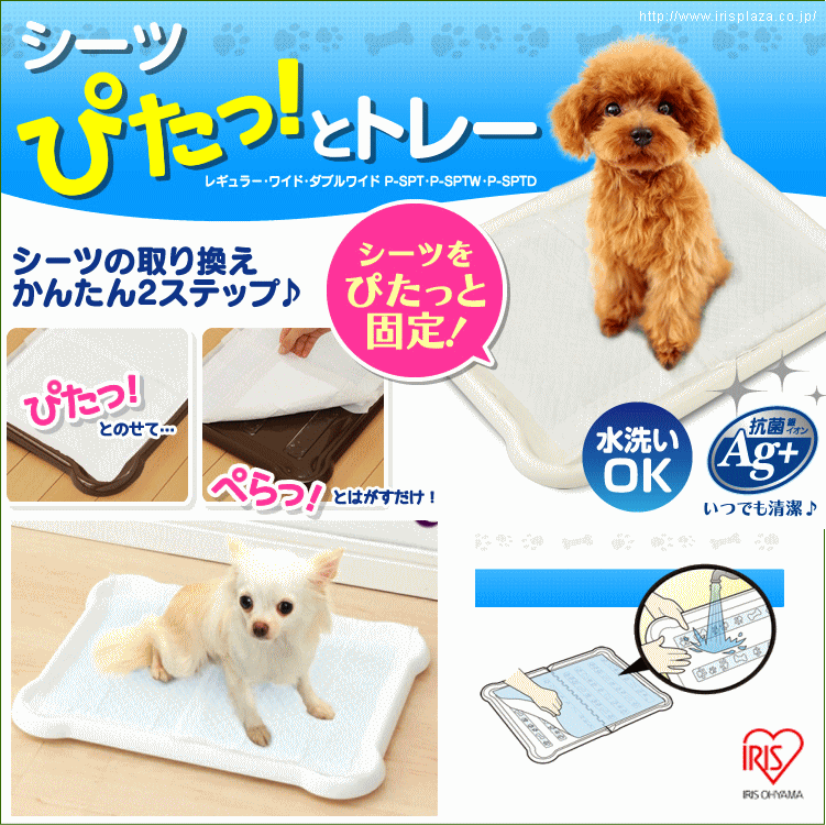 犬 トイレ トイレトレー シーツぴたっとトレー レギュラー ペット用 しつけ 簡単取り替え アイリスオーヤマ【あす楽対応】