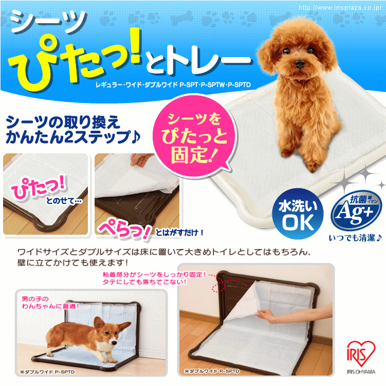 犬用 トイレトレー シーツぴたっとトレー ワイド ペット用 しつけ 簡単取り替え アイリスオーヤマ【あす楽対応】