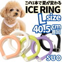 アイスリング Lサイズ ボタン付き SUO f.o インターナショナル ICE RING ネッククーラー 熱中症 首掛け 散歩 冷感 冷却 COOL 28℃で凍結 繰り返し使える 暑さ対策 OFF