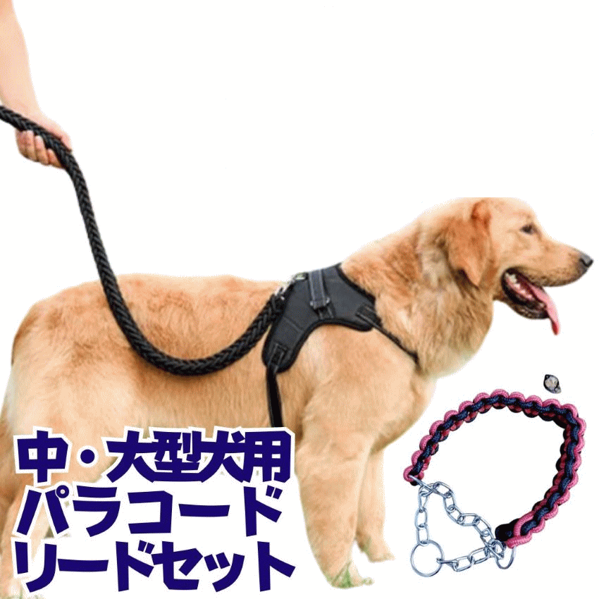 犬 リード 3点セット リード＋ハーネス＋ハーフチョーク 中型犬 大型犬 パラコード 丈夫 お散歩 着脱簡単 ポイント消化 shop