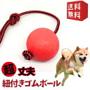 犬 おもちゃ ゴムボール ロープ付き 引っ張り合い TPRゴム 壊れない 綱引き 持ち手付き 嚙む ストレス解消 運動 色ランダム 中型犬 大型犬月間優良ショップ クーポン有 shop 母の日 ギフト ランキング 楽天 2024