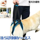 後ろ足用介護 歩行補助ハーネス 老犬 犬用 ペット用 ソフトハーネス 介護用 歩行補助 サポートハーネス 介助 シニア 大型犬 中型犬 有 プレゼント グッズ ユウランプ お中元 ギフト